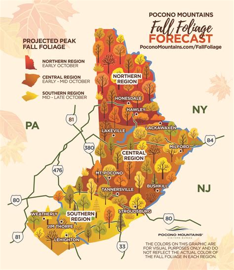 Fall foliage map debuts ahead of season | The River Reporter