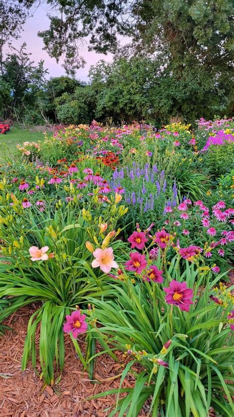 24 Perennial Plant Combinations That Look Stunning Together Artofit