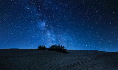 Sand Dunes In Jaisalmer: Khuri & Sam - Which Is Better?