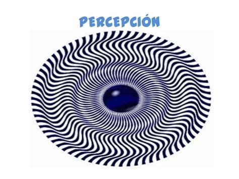 Principios De Percepción Ppt