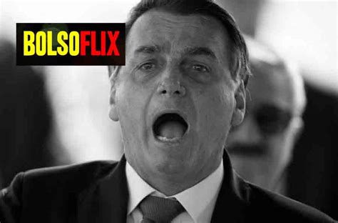 Conheça o Bolsoflix portal de conteúdos anti Bolsonaro em vídeos