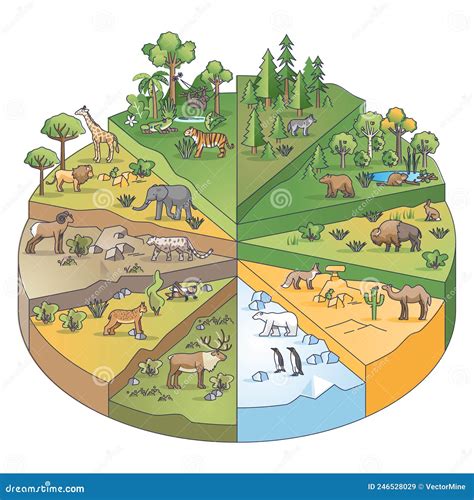 Ecosystem Diagram For Kids