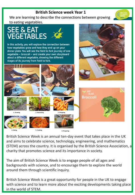 Year 1 British Science Week - Shoreditch Park Primary School