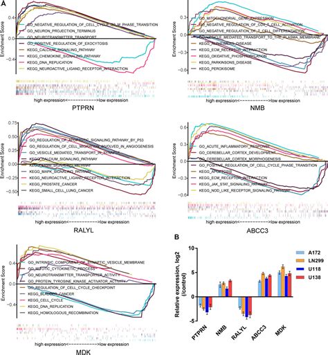 Frontiers Identification Of A Five Mrna Signature As A Novel