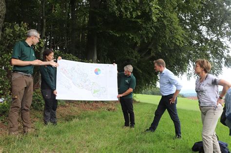 W Lder Im Bodenseekreis Leiden Bereits Unter Dem Klimawandel