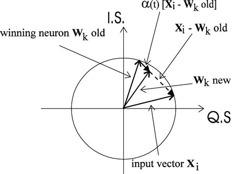 Two Dimensional Representation Of The Learning Principle Of The