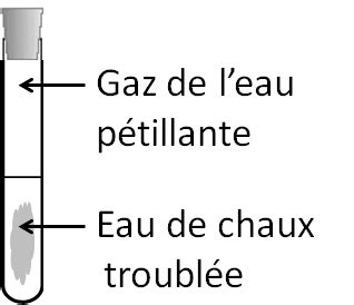 Laboratoire Du Web Chimie Chapitre 4 Le Dioxyde De Carbone