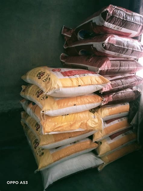 TREE FEED (@feed_tree) / Twitter