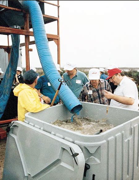 Mechanized Shrimp Harvesting Responsible Seafood Advocate