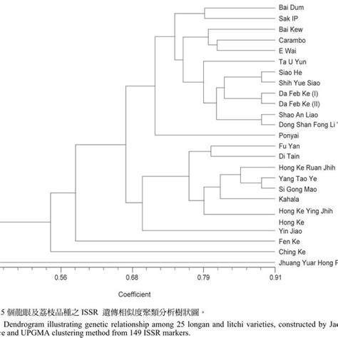 Dendrogram Illustrating Genetic Relationship Among 25 Longan And Litchi