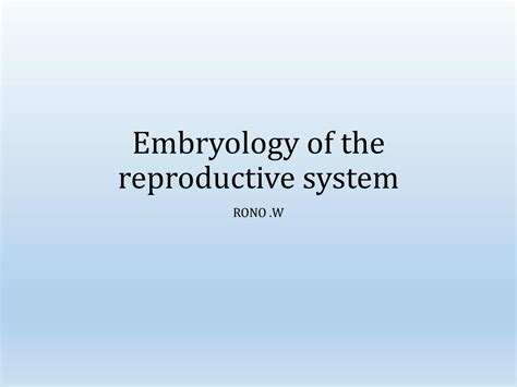 Solution Embryology Of The Reproductive System Studypool