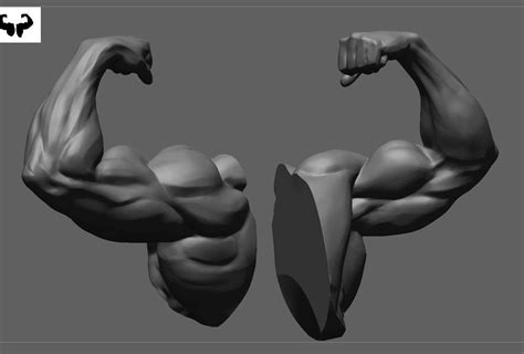 Muscular Arm In Pose 3d Model Cgtrader