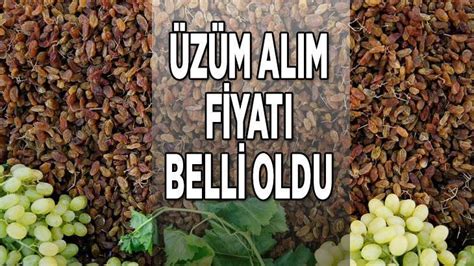 KURU ÜZÜM FİYATLARI 2022 Üzüm alım fiyatları ne kadar kaç TL oldu