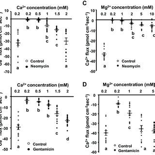 Effects Of External Ca And Mg Levels On Inhibition By M