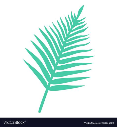 Palm leaf tropical silhouette Royalty Free Vector Image