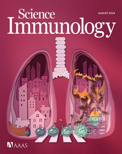 The Promise Of Priming Precursors Advances In Inducing Cd Binding