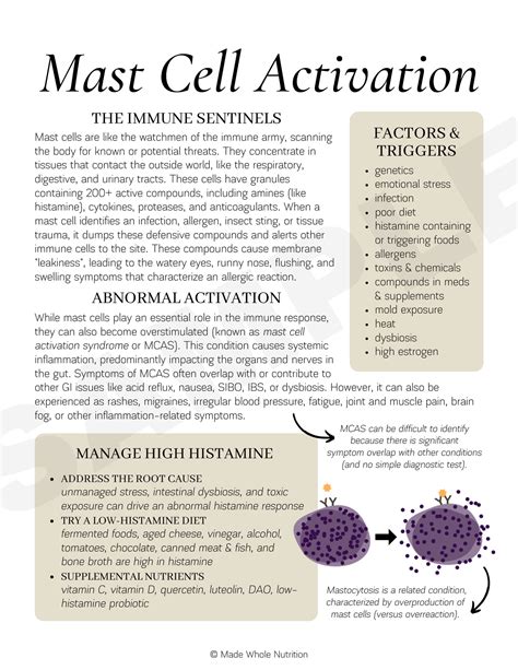 Mast Cell Activation Handout — Functional Health Research + Resources — Made Whole Nutrition