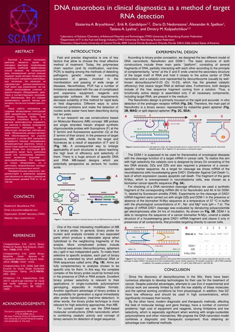 (PDF) DNA nanorobots in clinical diagnostics as a method of target RNA ...