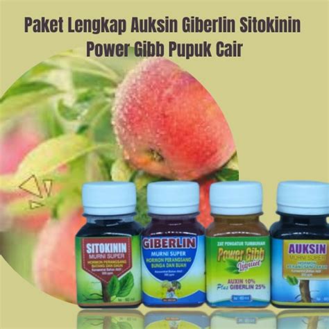 Jual Pupuk Cair Booster Perangsang Buah Bunga Pelebat Buah Apel Paket