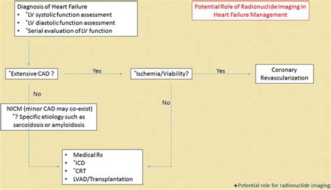 Potential roles of radionuclide imaging in patients with heart failure ...