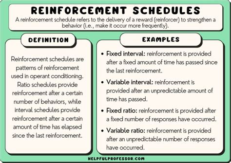 15 Reinforcement Schedule Examples (Of all Types) (2024)