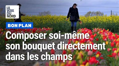 Comment ça marche la cueillette des tulipes en libre service MAIRIE