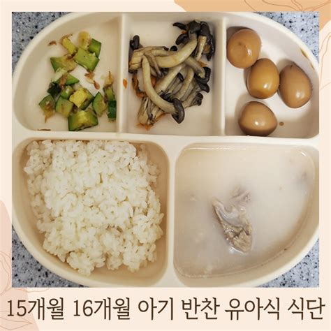 15개월 16개월 아기 반찬 유아식 식단 모음 네이버 블로그