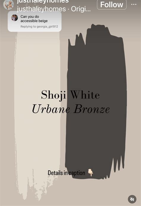 urban bronze paint 7