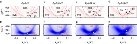 Mote2 Verified As The First Type Ii Weyl Semimetal Yan Group