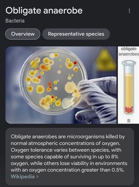 an article about the different types of substances