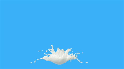 Milk Splash Explosions with Droplets 2974178 Stock Video at Vecteezy