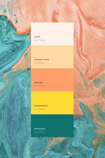 Vibrant And Bright Colour Palettes For Your Brand Design Squarebase