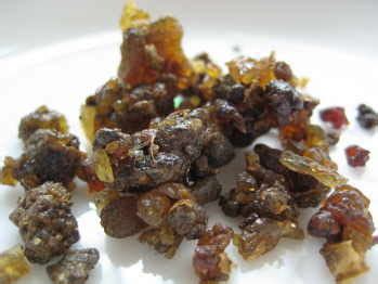 Commiphora Mukul at ₹ 850/kilogram | Guggul Gum for Thyroid in Sheopur ...