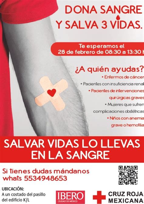 Requisitos Para Donar Sangre Salva Vidas En México Mis Requisitos