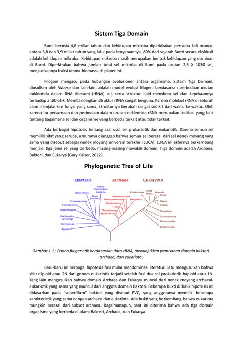 sistem tiga domain sistem tiga domain bumi berusia  miliar