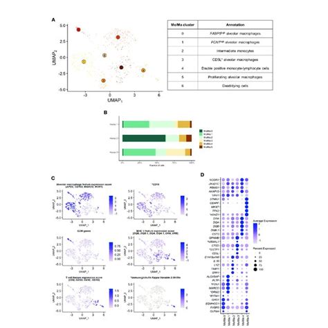 Independent Analysis Of The Monocytes Macrophages Moma Population Download Scientific