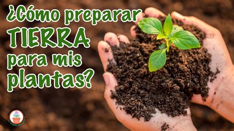 C Mo Preparar Tierra Para Plantas Youtube