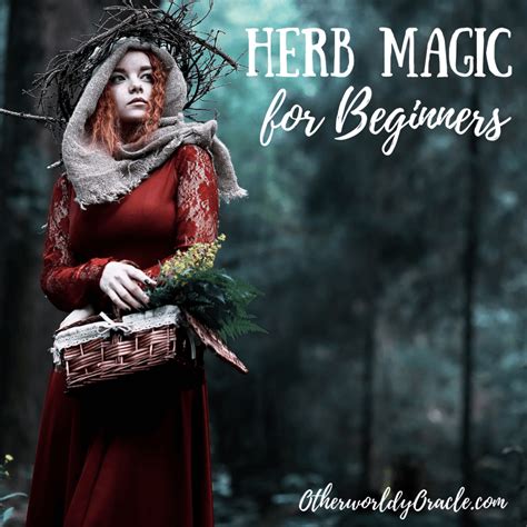 Herb Magic For Beginners How To Start Working With Herbs