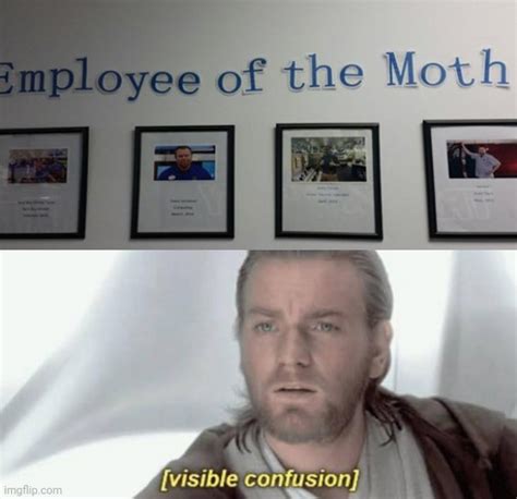 More Like Employee Of The Month Imgflip