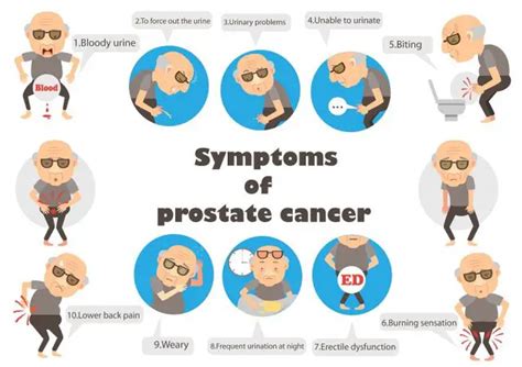 Disorders Of The Male Reproductive System Std Gov Blog