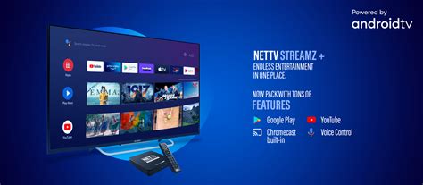 nettv streamz price  nepal android tv iptv features buy