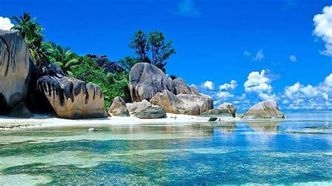 Crystal Blue Waters and Palm Trees