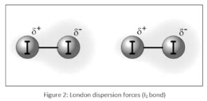 Dispersion Forces or London Forces: Definition, Examples, Types and Formula