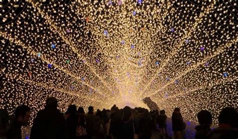 4 Spectacular Japan Winter Light Festival Guide And Photos That Will ...