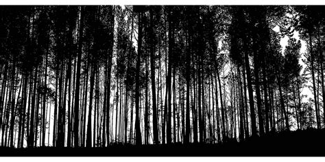 Bosque Árboles Silueta Gráficos vectoriales gratis en Pixabay Pixabay