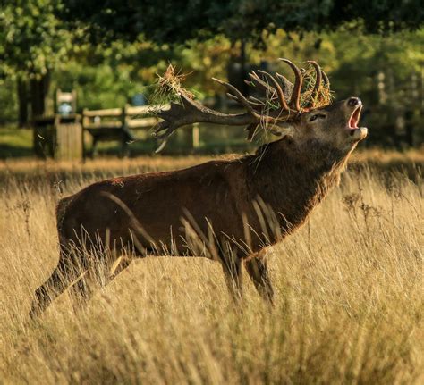 Don't get stuck in a rut | Digital Camera UK - photography - Read this