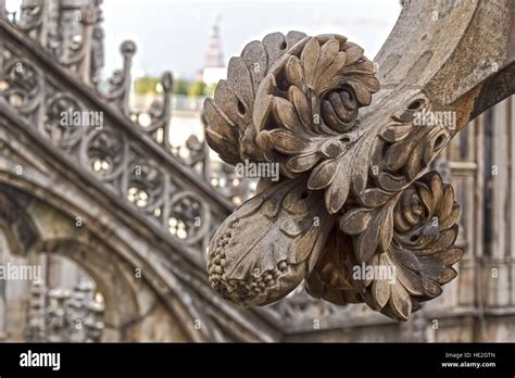 Detalles Arquitect Nicos Desde El Techo De La Famosa Catedral De Mil N