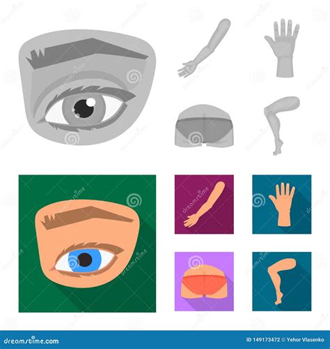 Vector Design Of Body And Part Sign Collection Of Body And Anatomy