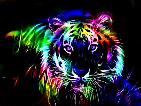 Rainbow Lion Wallpaper - WallpaperSafari