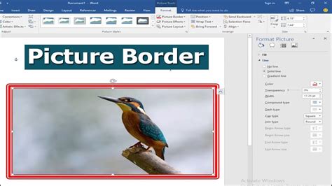 How To Add Or Put Picture Border In Microsoft Word 2017 Youtube